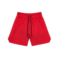 Chicago Bulls Mesh Shorts -Purple-Brand Store P551 MNCB824 1 ba01b4e5 2922 4795 9082 0a47582e40e5 scaled