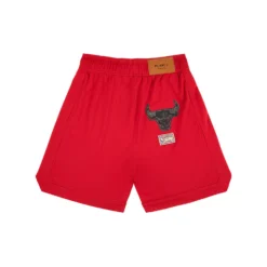 Chicago Bulls Mesh Shorts -Purple-Brand Store P551 MNCB824 2 cf01c104 b9db 4bfd 8d0b 3d41e5e469be scaled
