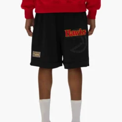 Atlanta Hawks Mesh Shorts -Purple-Brand Store SS25 LOOK 76 026 scaled