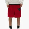 Chicago Bulls Mesh Shorts -Purple-Brand Store SS25 LOOK 79 004 scaled