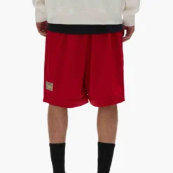 Chicago Bulls Mesh Shorts -Purple-Brand Store SS25 LOOK 79 008 scaled